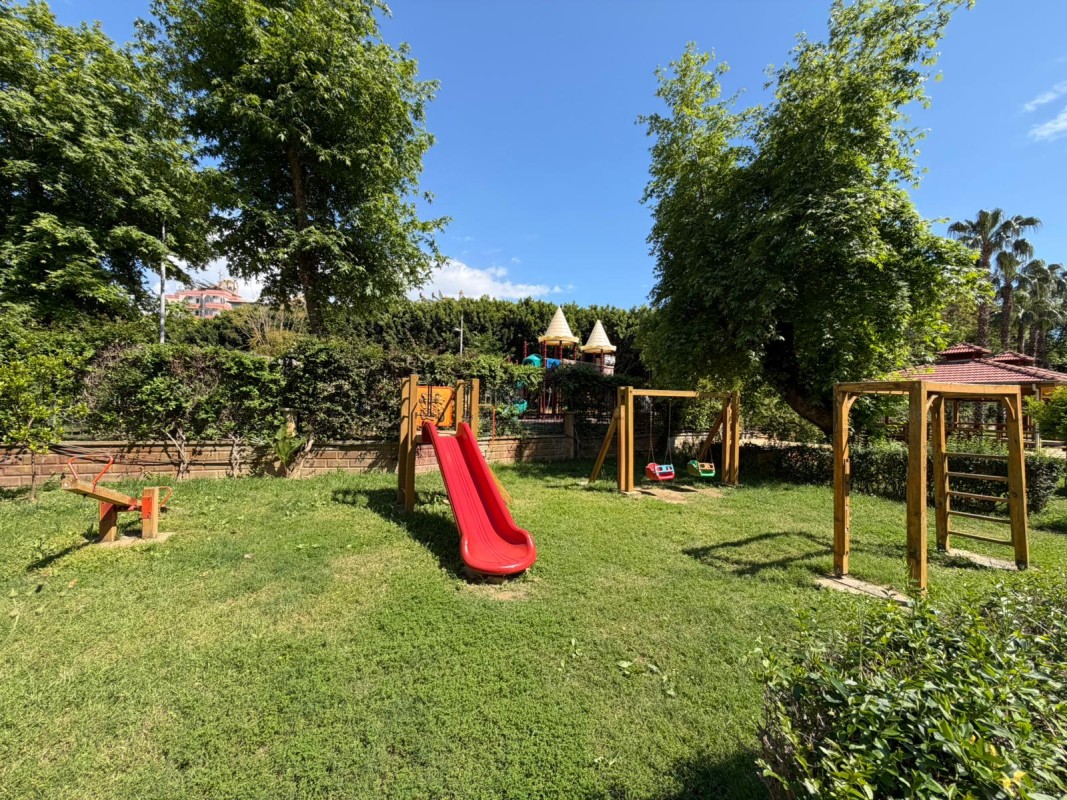 Image 25