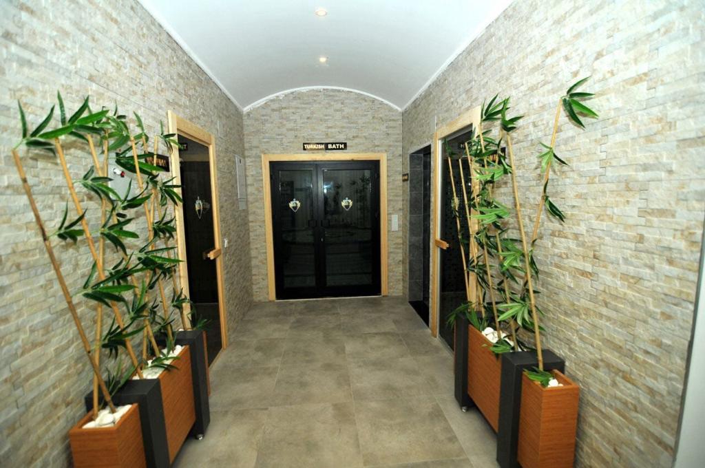 Image 10